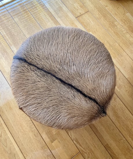 Stool