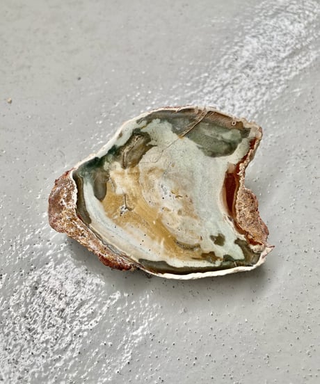 Petrified Wood