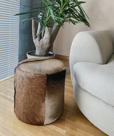 Stool