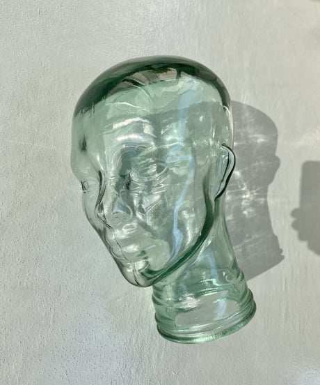 Head torso