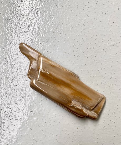 Petrified Wood