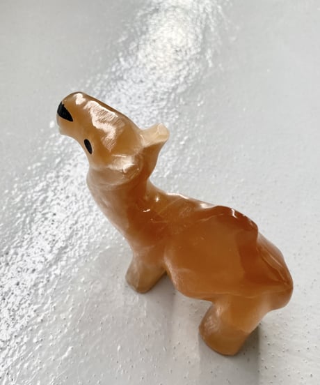 Camel