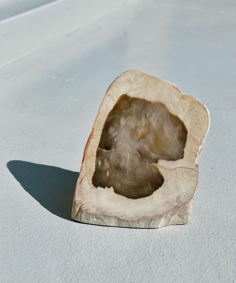 Sculpture (Petrified)