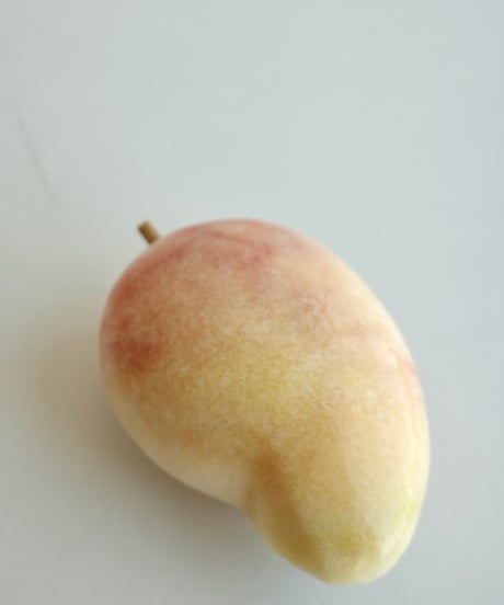Pomona🍐🥥