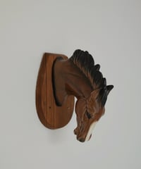 Horse Head