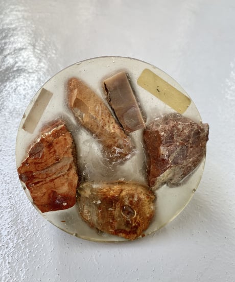 Sculpture (Petrified)