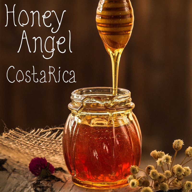 コスタリカ ｜サンイグナシオ農園 ｜ レッド・ハニー ｜HoneyAngel（深