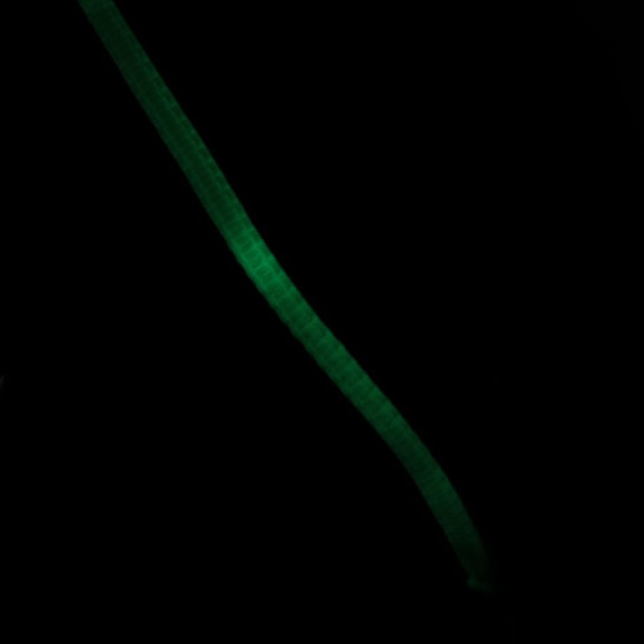 61d6f27d113ce01b22bf0dd1