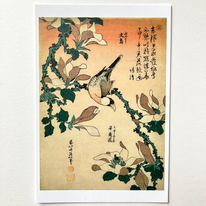 葛飾北斎 花鳥画はがきセット（4図各1枚入） | THE SUMIDA