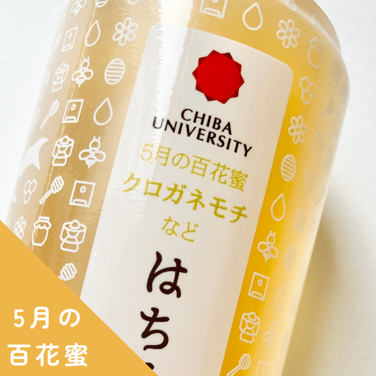 はちみつ 北斎パッケージ(千葉大学墨田サテライトキャンパス産 はちみつ 北斎パッケージ(千葉大学墨田サテライトキャンパス産