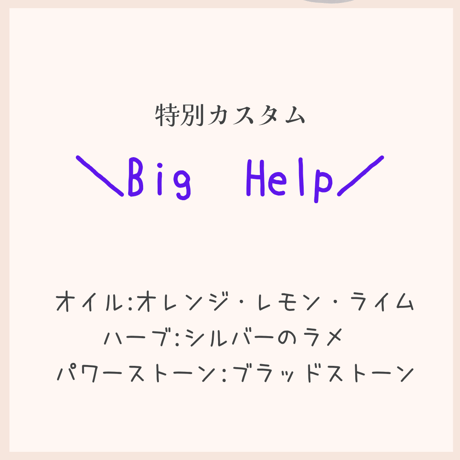 ビッグヘルプ(特別カスタム版)様々な応援がほしい方へ