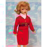 タミーちゃんサイズ◇ハンドメイドお洋服セット 芸術の秋 | Doll