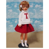 ハンドメイド◇タミーちゃんサイズお洋服セット スイートガール | Doll