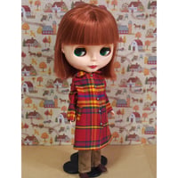 ハンドメイド◇ブライス/リカちゃんサイズお洋服セット動物園へ | Doll