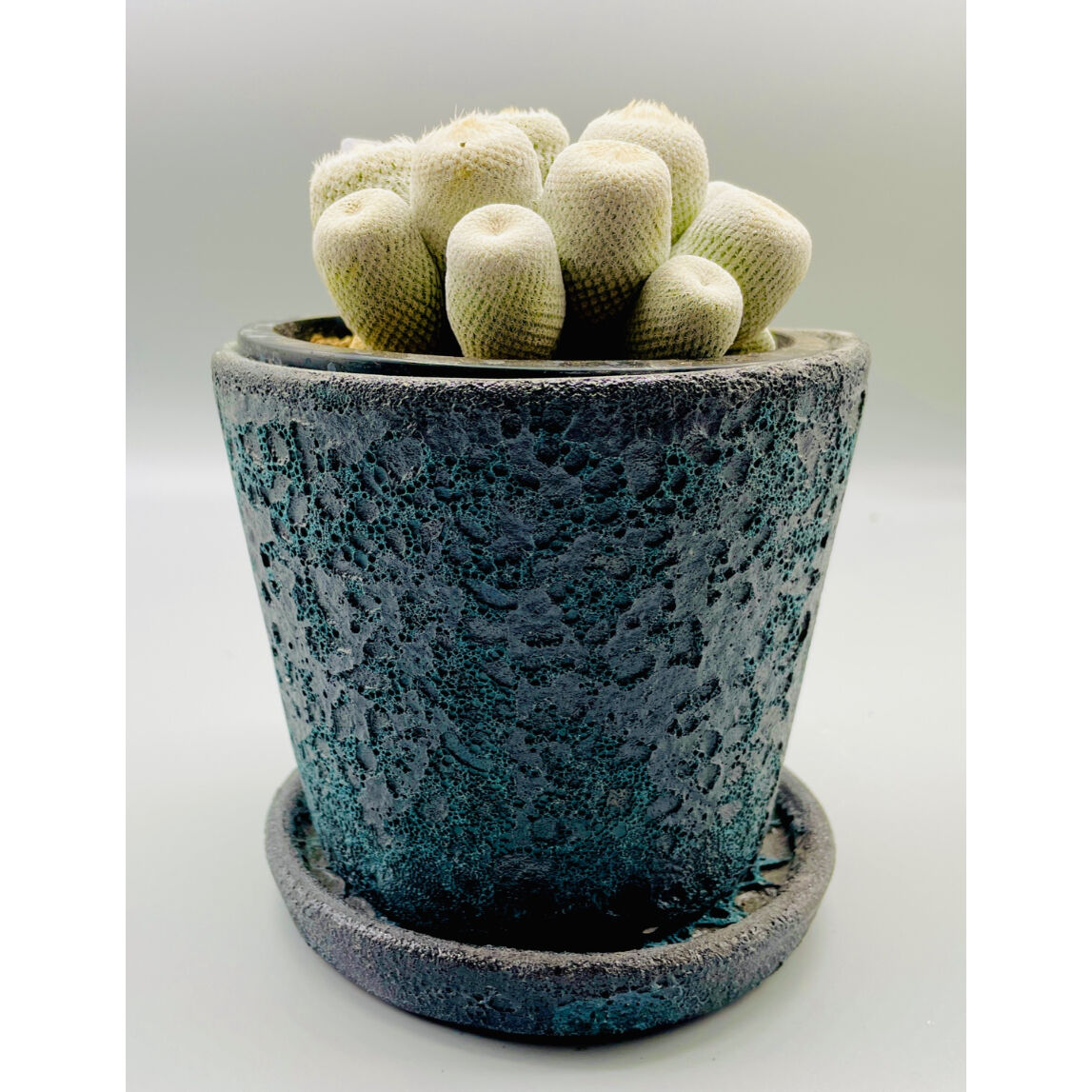 小人の帽子 エピテランサ 美株 【公式通販】