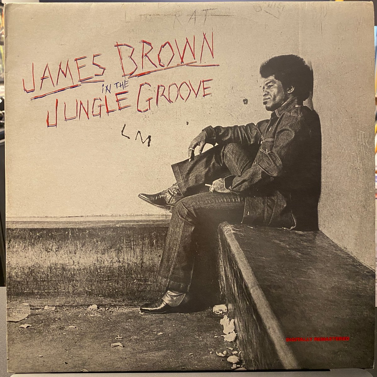 JAMES BROWN / In The jungle Groove (2LP) | Gori