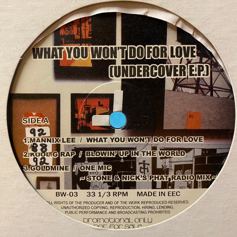 V.A. / What You Won't Do For Love -Undercover- 