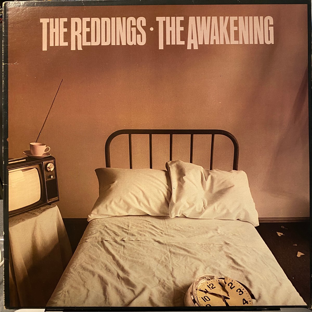 THE REDDINGS / The Awakening (LP) | Gorilla Fun