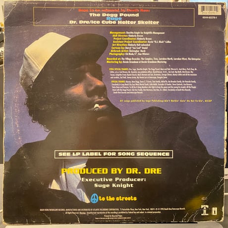 SNOOP DOGGY DOGG / Doggystyle (LP)