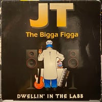 JT THE BIGGA FIGGA / Dwellin' In The Labb (12inch)