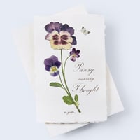 押し花カード pansy