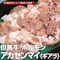 アカセン（ギアラ）　300g（約1～2人前）