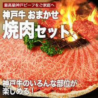 【神戸牛】　お手軽おまかせ焼肉セット　500g（約1～2人前）