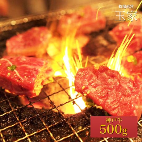 【神戸牛】　お手軽おまかせ焼肉セット　500g（約1～2人前）
