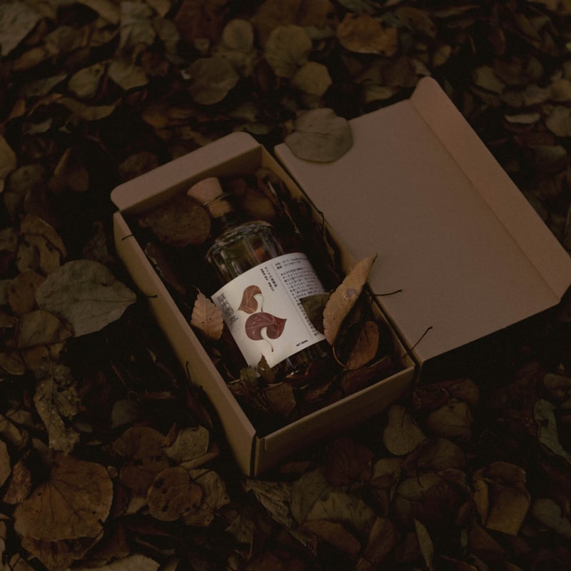 Plantation - カツラバシカメラ TULALA | Ford every stream | » 【STAFF】晩夏ボート