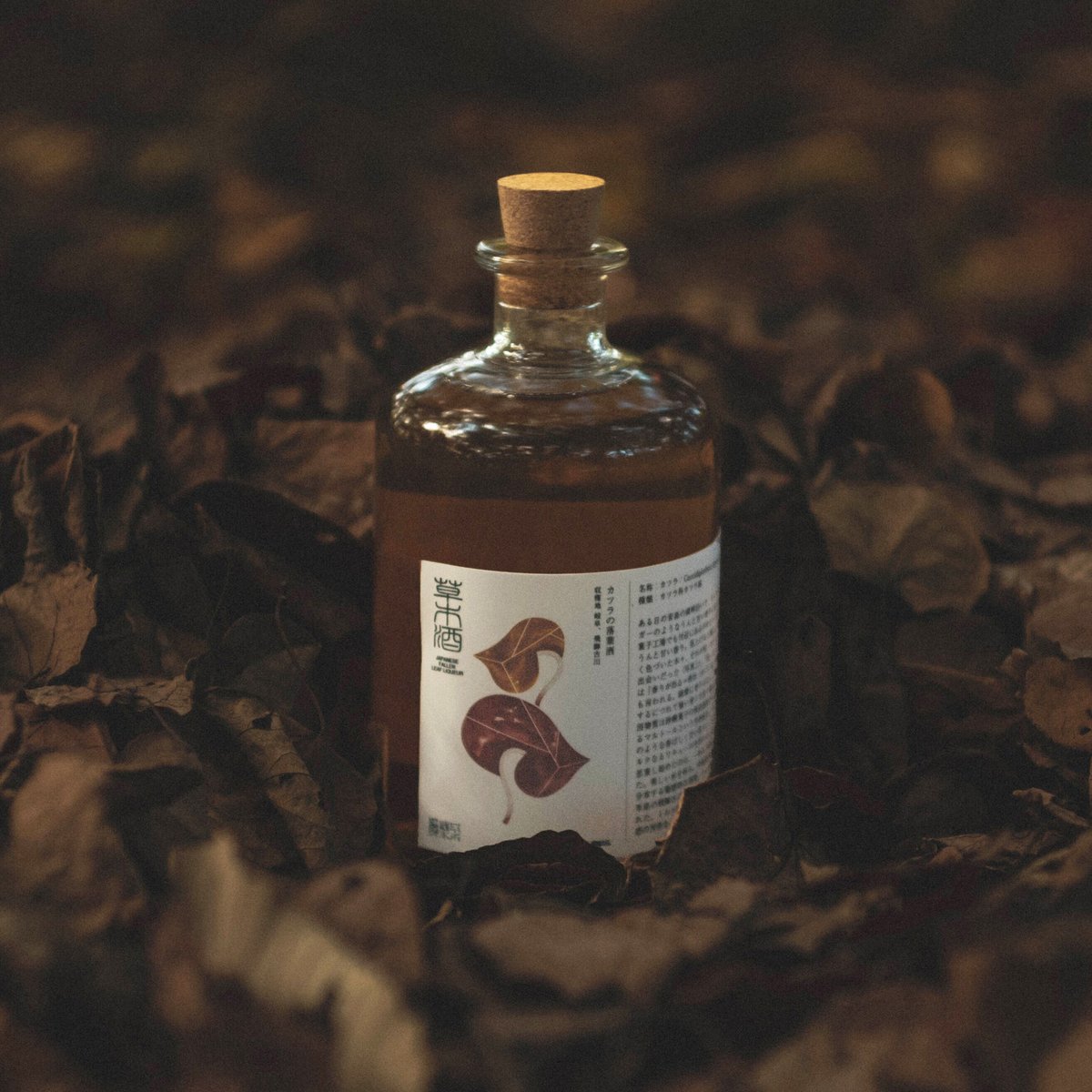 Plantation - カツラバシカメラ TULALA | Ford every stream | » 【STAFF】晩夏ボート