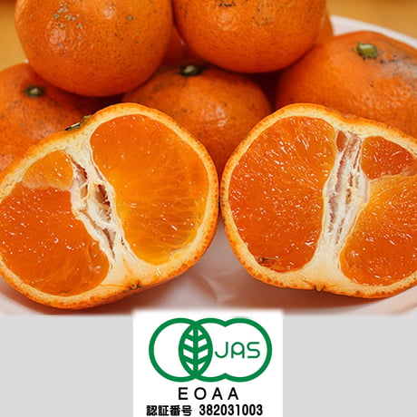オーガニック大久保 みかん農園