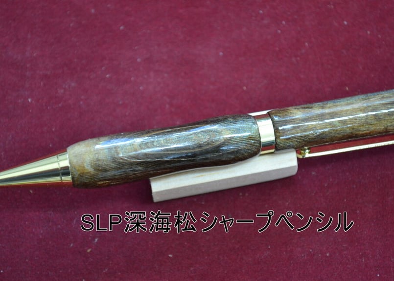 深海松 海松 レインボーコーラル 珊瑚 ブルー系