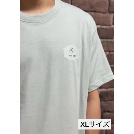 夏のTシャツ2026（ライトグリーン）