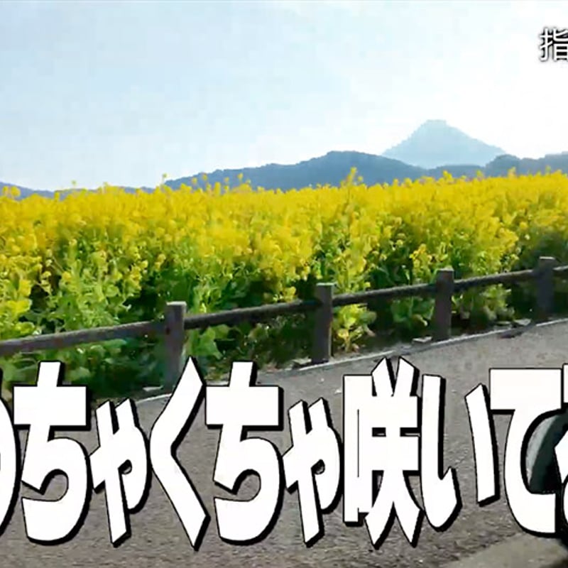 カード版】オモコロチャンネル番外編vol.4「カメパンツアーズ in