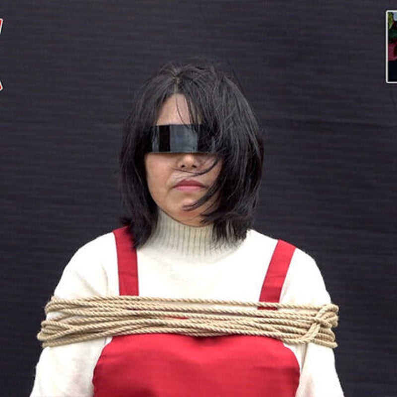 オモコロカジノ ～人生を賭けた7つのゲーム～」 DVD | オモコロストア