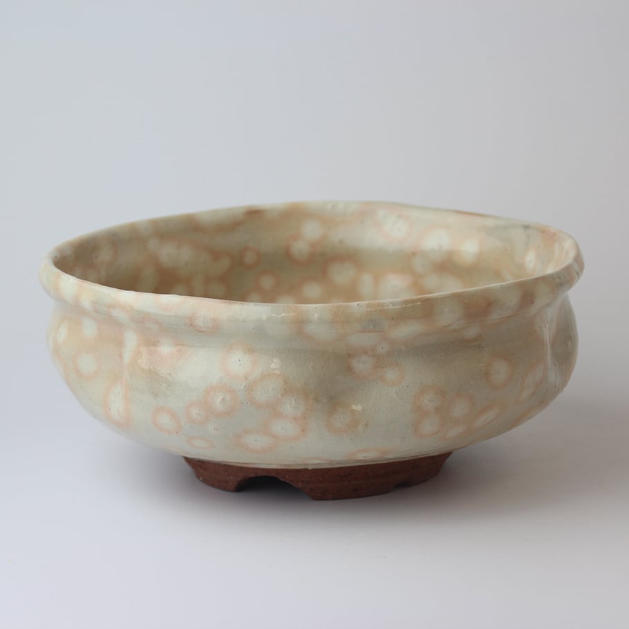 オンラインストア限定品 | 盛鉢 粉引（化粧箱）｜萩焼 萩陶苑 椿秀窯