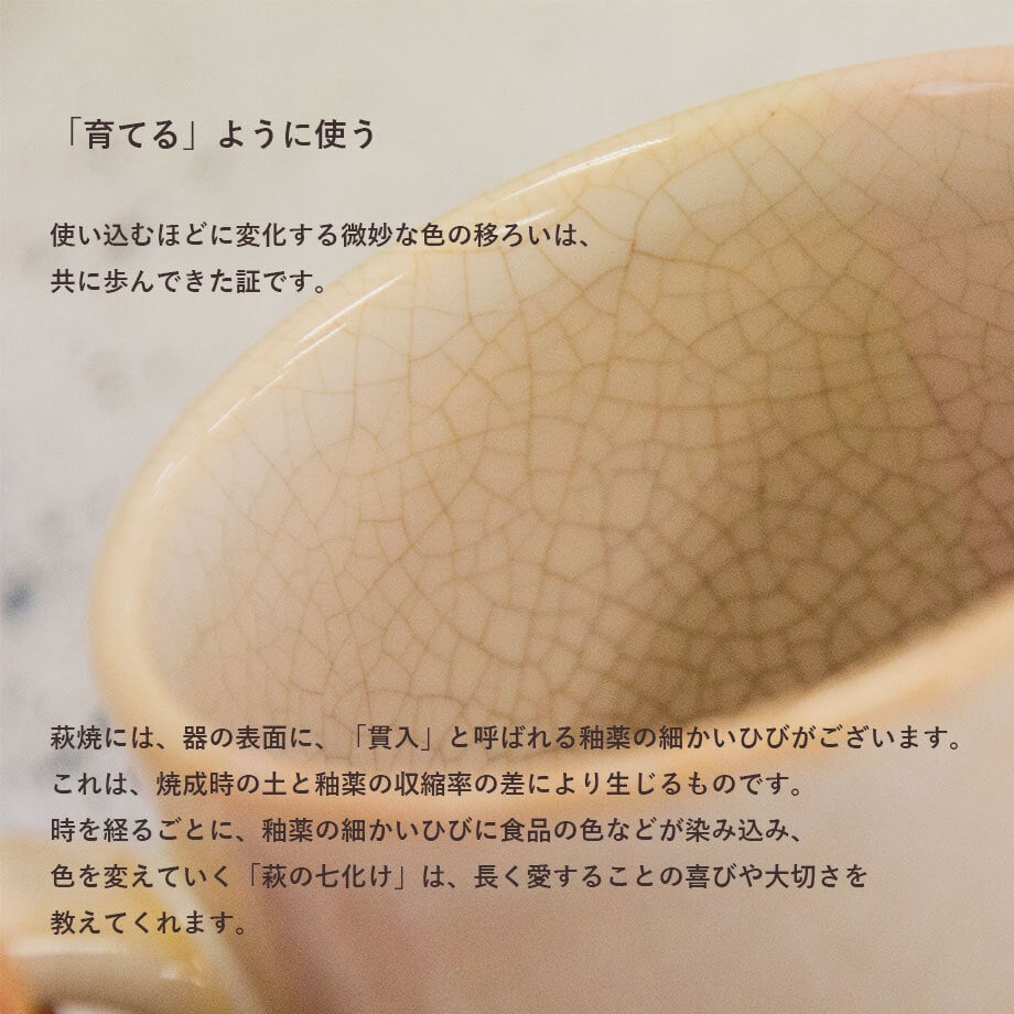 二彩茶漬け碗ペア（化粧箱）｜萩焼窯元 萩陶苑 椿秀窯 ギフト
