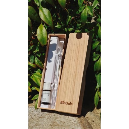 プロフェッショナルデンティストリー = Professional Dentis… プロデンティスブラシ | おくちの相談室 ここゆい