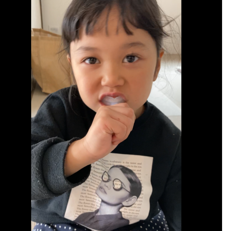 チューイングブラシ 子ども用（柄付き） | おくちの相談室 ここゆい