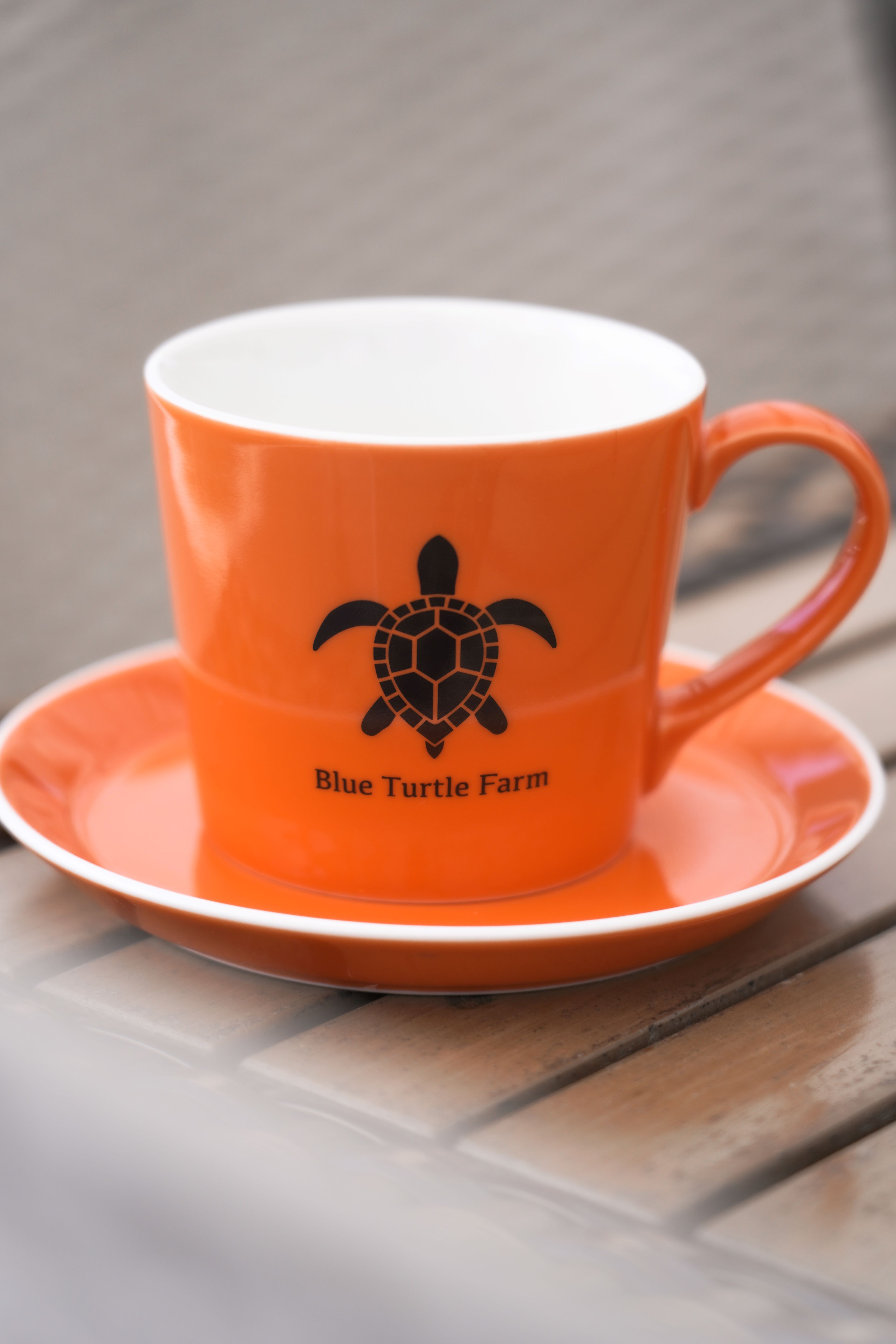 Blue Turtle Farm オリジナルマグカップ＆ソーサーSET 鮮やかオレンジ