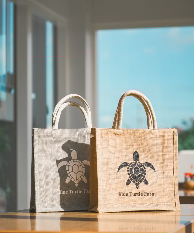 Blue Turtle Farm オリジナルバッグ(ベージュ/オリーブ) | Blue