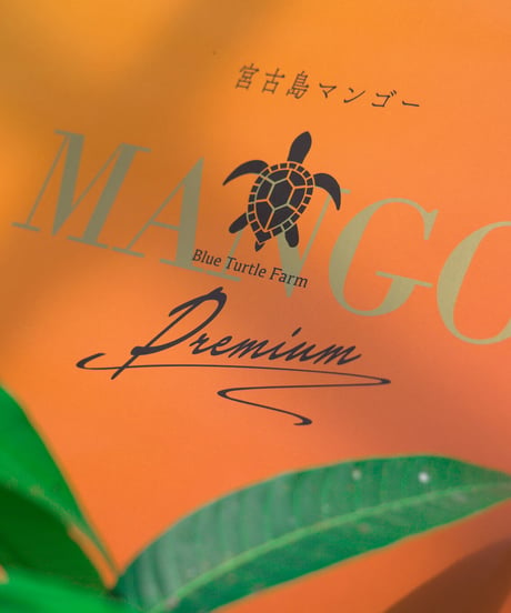 宮古島産「完熟マンゴー」2kg