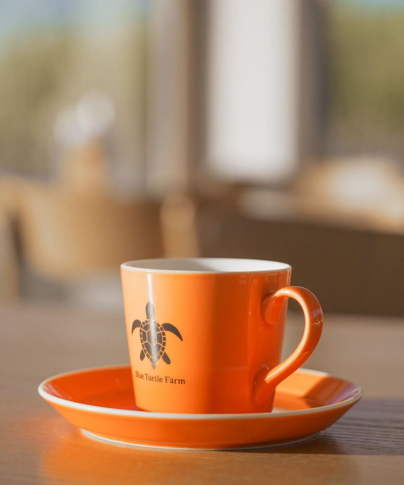 NATUAL MOUNTAIN MONKEYS マグカップ ORIGINAL MUG | NATURAL MOUNTAIN