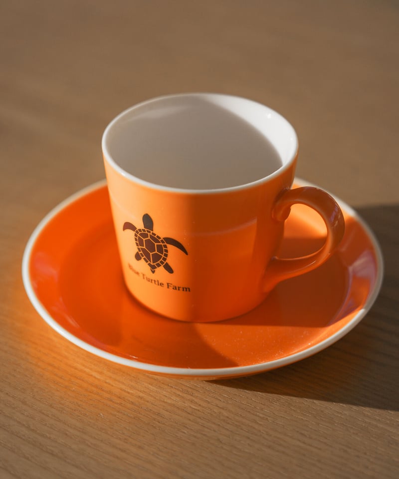 Blue Turtle Farm オリジナルカップ＆ソーサーSET 鮮やかオレンジ | Blu