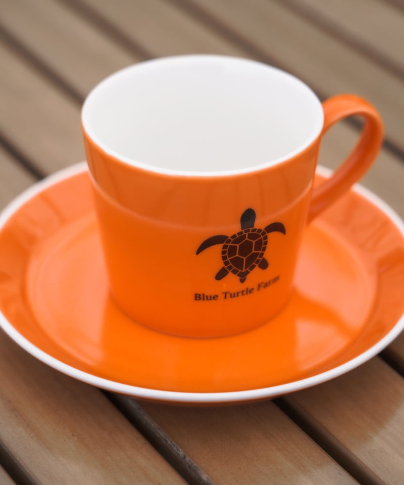 未使用 KITANO INDO CURRY HONOLULU マグカップ 未使用 KITANO INDO