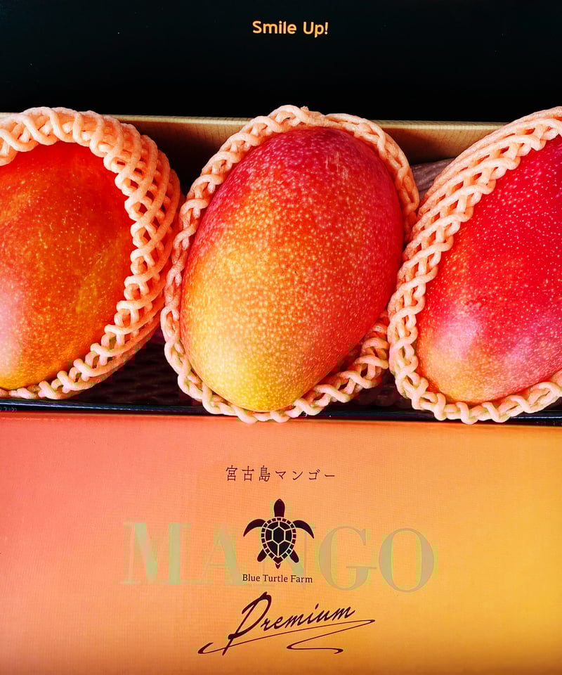 宮古島産完熟マンゴー1kg | Blue Turtle Farm & Mango Cafe 宮古島産完熟マンゴー1kg | Blue Turtle Farm & Mango Cafe
