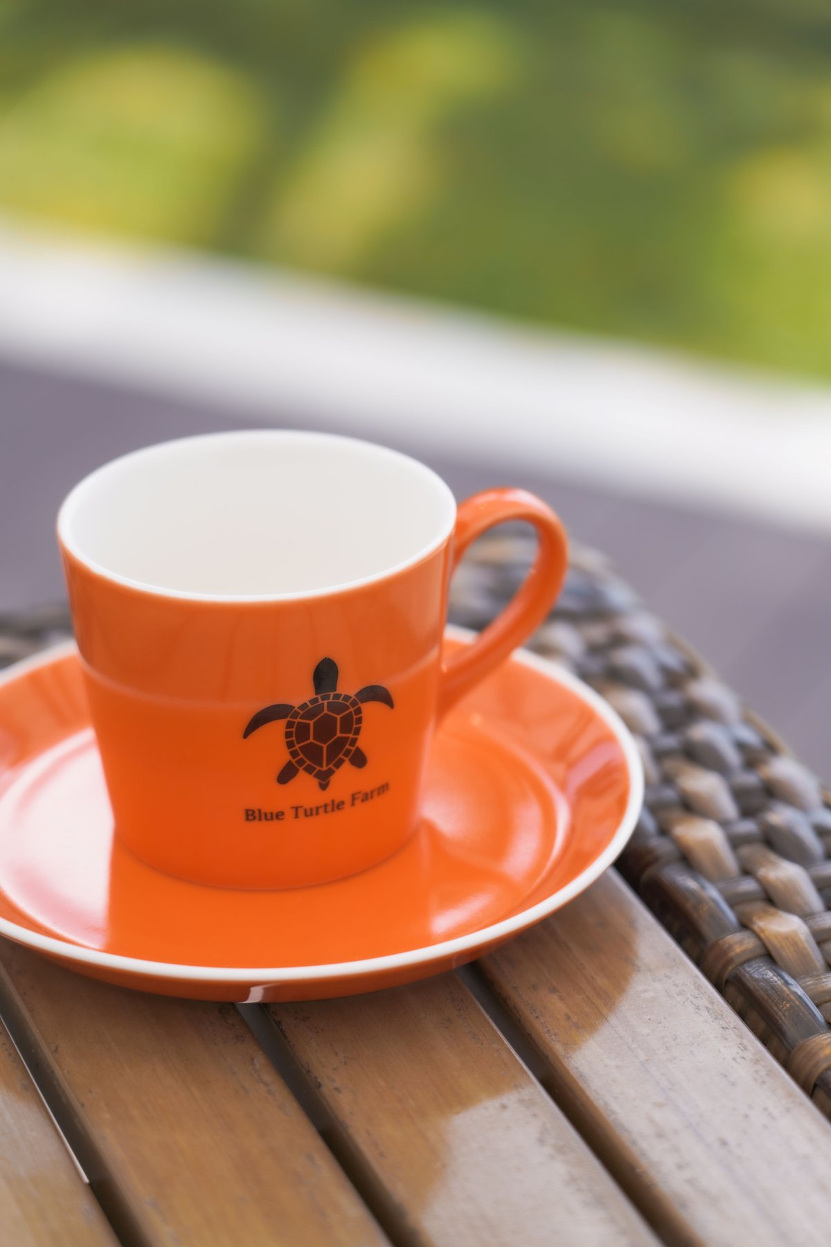 Blue Turtle Farm オリジナルマグカップ＆ソーサーSET 鮮やかオレンジ