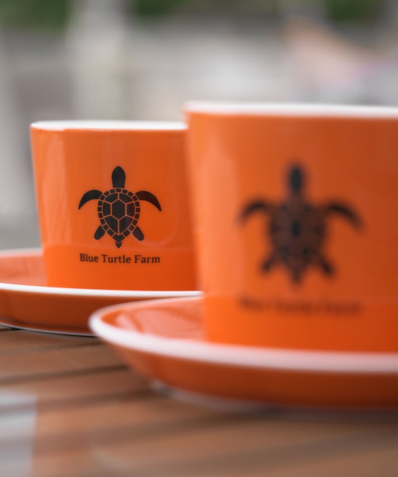 Blue Turtle Farm オリジナルマグカップ＆ソーサーSET 鮮やかオレンジ