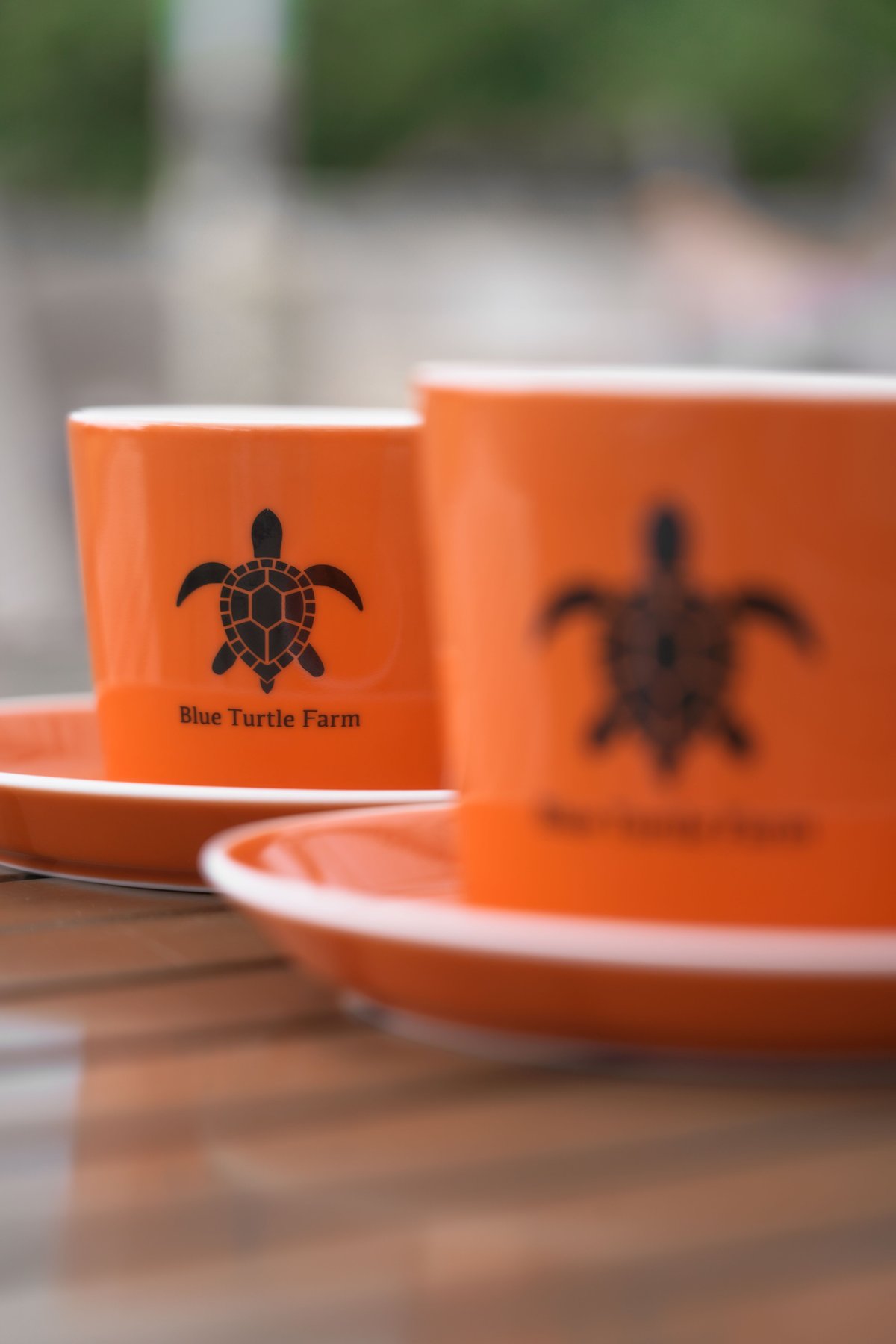 Blue Turtle Farm オリジナルマグカップ＆ソーサーSET 鮮やか