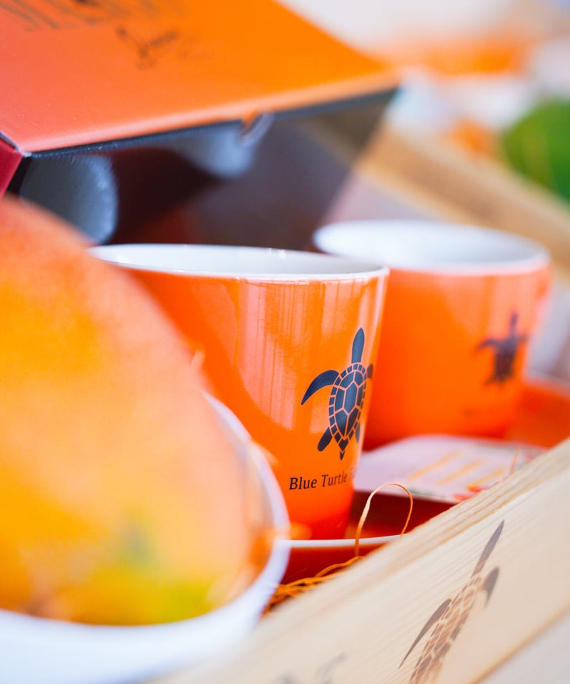 Blue Turtle Farm オリジナルカップ＆ソーサーSET 鮮やかオレンジ | Blu
